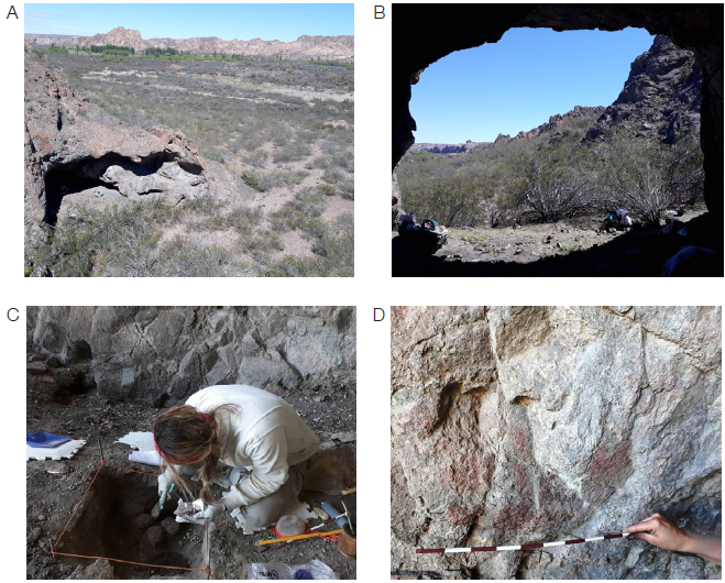 Cueva Conrad: (A) vista del sitio; (B) panorámica desde el interior de la cueva;(C) área de excavación; (D) panel con pintura roja desvaída;